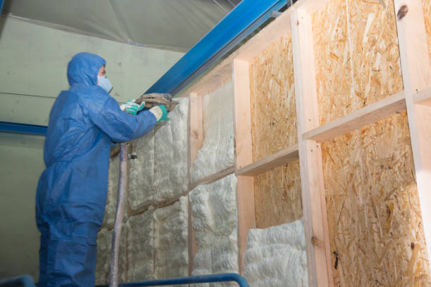 Insulation Replacement Services in Lockeford, CA